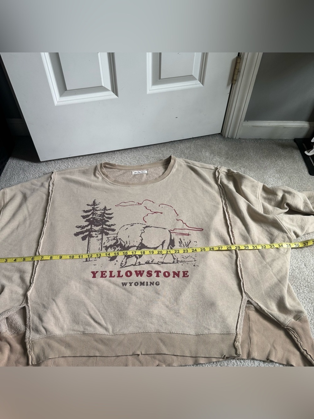 Free People We The Free Yellowstone Bison Camden Sweatshirt Beige Graphic - Picture 9 of 13